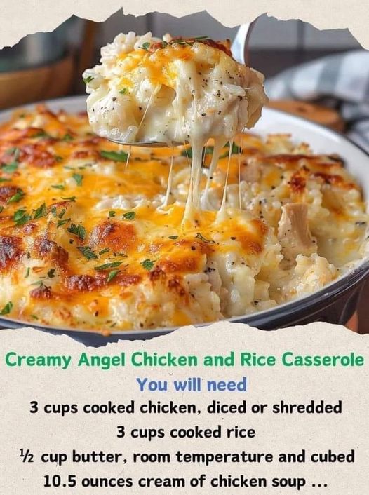 454665320 1202146554238928 1204452048461930880 n Chicken Recipes