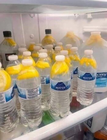 586634283 122272116170235964 6612725970485413820 n High Protein Recipe, Recipe, WW Recipes