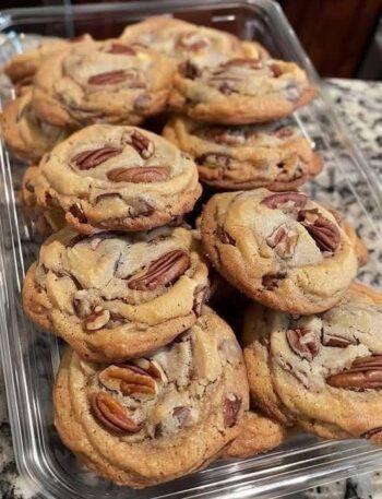 WhatsApp Image 2025 11 07 at 7.08.11 PM Blog, Carnivore Recipes, Healthy High-Protein Brownies (Fudgy, Gooey, 205 Calories Each), High Protein Recipe, Keto Recipes, Low-Carb, Recipe, Success Stories, WW Recipes