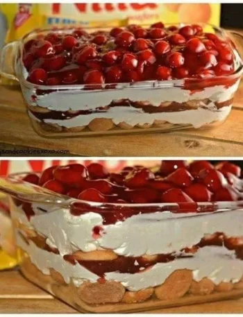 587623630 122230370054102037 7832266376479119373 n Blog