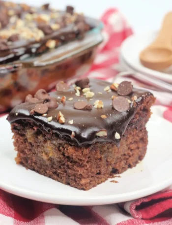 LJ Turtle Caramel Cake 11 scaled 1 Blog