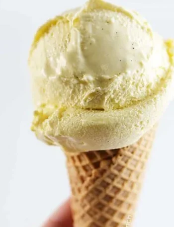 old fashioned vanilla ice cream recipe DSC 4239 500x500 1 Blog