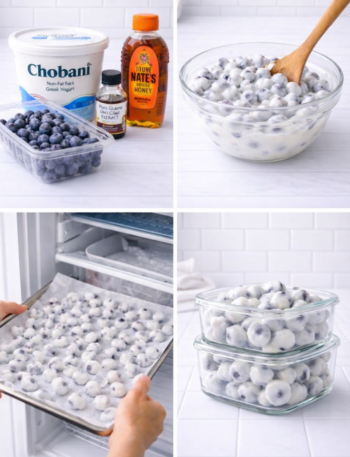 955e19db 7ee1 4b76 975e aeb452f5eccd Carnivore Diet, Healthy High-Protein Brownies (Fudgy, Gooey, 205 Calories Each), High Protein Diet, Keto Diet, Mediterranean Diet, Recipe, WW Diet