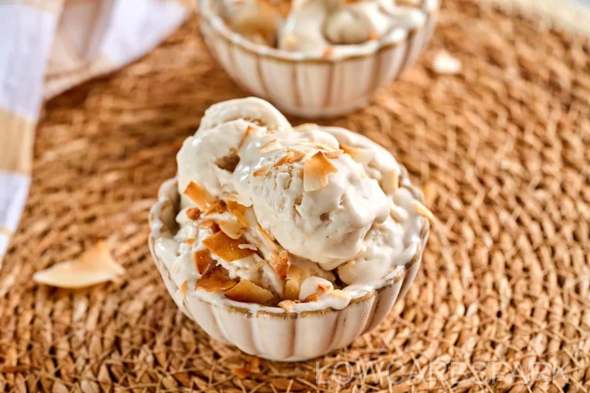 Coconut Milk Ice Cream 2 Success Stories