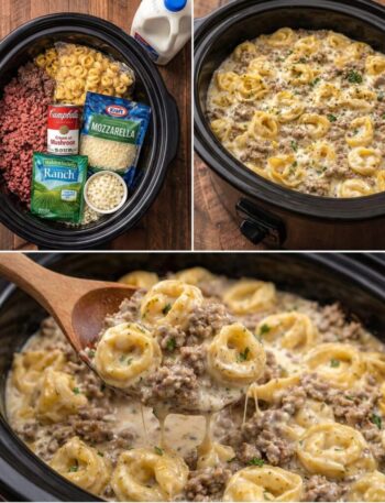 IMG 1428 1008x1024 1 Recipe, Blog, Carnivore Recipes, High Protein Recipe, Keto Recipes, Low-Carb, Success Stories, WW Recipes