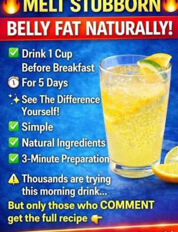 661484995 10161693018476735 6357008554308344605 n High Protein Diet, High Protein Recipe, Keto Diet, Keto Recipes, Low-Carb, Recipe