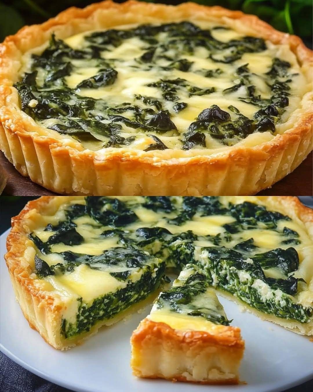 485595448 122144931362526333 6091959612421839477 n meal plan