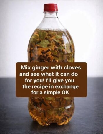 661080368 1447524390448259 2359060759752161019 n High Protein Diet, High Protein Recipe, Keto Diet, Keto Recipes, Meal Plan, Recipe