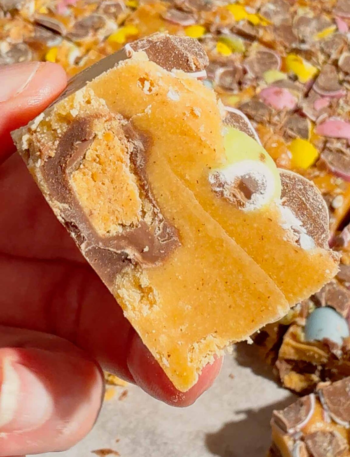 image 2 Carnivore Recipes, High Protein Recipe, Keto Recipes, Recipe, WW Recipes