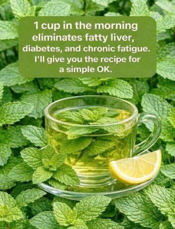686333751 1471455301388501 6438572138724352782 n Zero Point, Recipe, WW Diet, WW Recipes