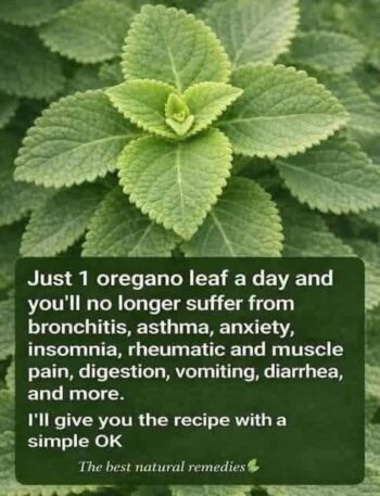 689877464 1475572567643441 8822813708806295733 n High Protein Diet, High Protein Recipe, Keto Diet, Keto Recipes, Low-Carb, Mediterranean Diet, Recipe