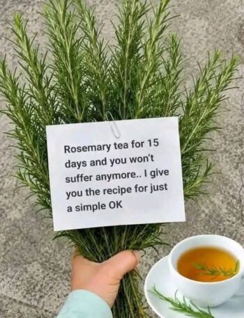 699595020 26946006515086196 414667835265648818 n 1 Recipe