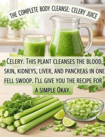 700353922 1593507269175814 4627386706181329604 n High Protein Recipe, Carnivore Recipes, Recipe, WW Recipes