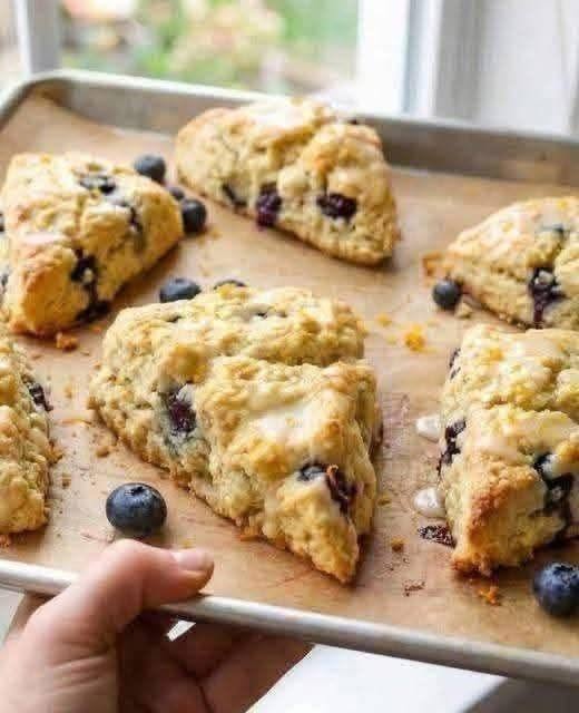 726526157 1509891967544834 2301724421800764136 n WW Diet, Detox Drink, Recipe, WW Recipes, Zero Point