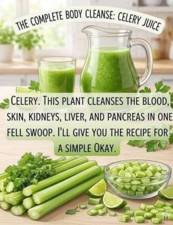 728427453 4108212012642330 1290622097898182703 n Recipe