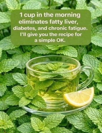 WhatsApp Image 2026 06 13 at 9.19.45 AM WW Diet, Recipe, WW Recipes, Zero Point