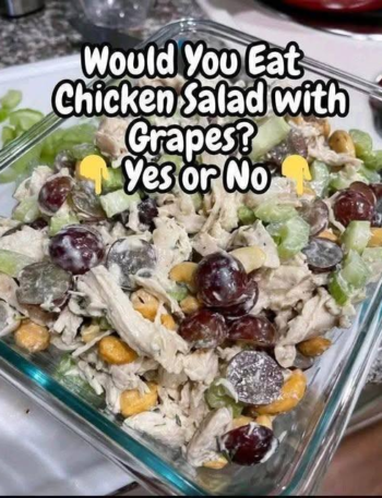 image 14 High Protein Recipe, Carnivore Recipes, Keto Recipes, Recipe, WW Recipes