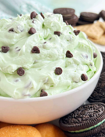 Best High-Protein Creamy Mint Cheesecake Freeze (28g Protein)