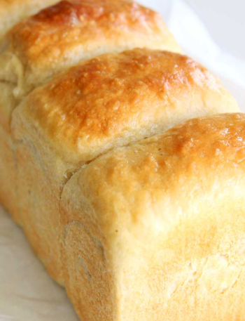 WW-Friendly Greek Yogurt Sandwich Bread