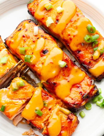 WW-Friendly Bang Bang Salmon